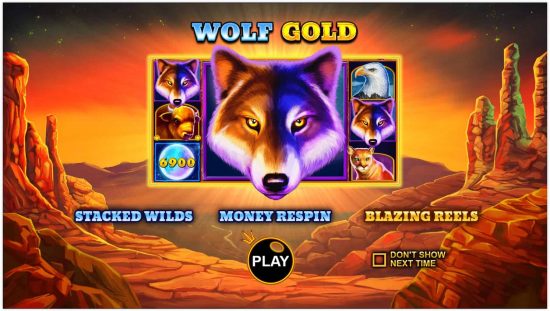 Get the best and wild adventure with Wolf Gold